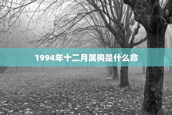 1994年十二月属狗是什么命