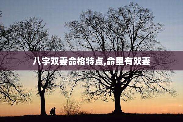 八字双妻命格特点,命里有双妻