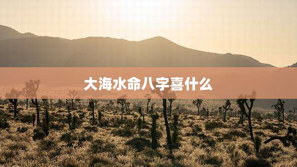 大海水命八字喜什么