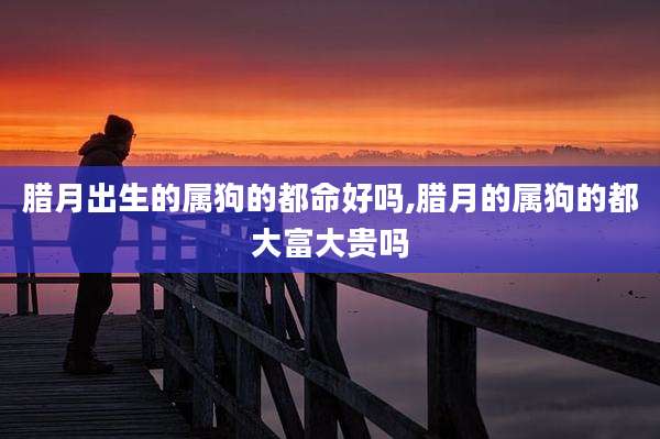 腊月出生的属狗的都命好吗,腊月的属狗的都大富大贵吗