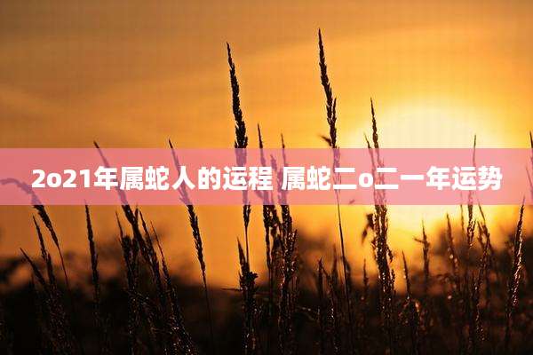 2o21年属蛇人的运程 属蛇二o二一年运势