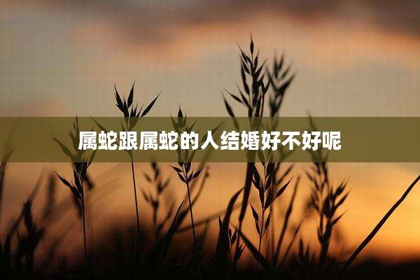 属蛇跟属蛇的人结婚好不好呢