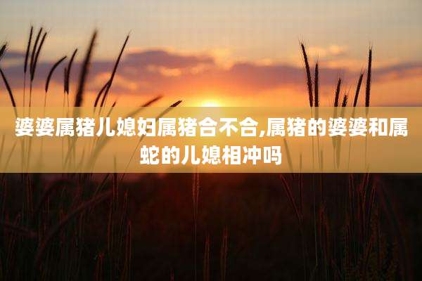 婆婆属猪儿媳妇属猪合不合,属猪的婆婆和属蛇的儿媳相冲吗