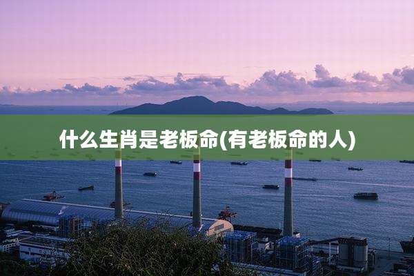 什么生肖是老板命(有老板命的人)