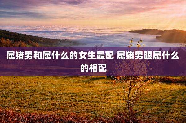 属猪男和属什么的女生最配 属猪男跟属什么的相配