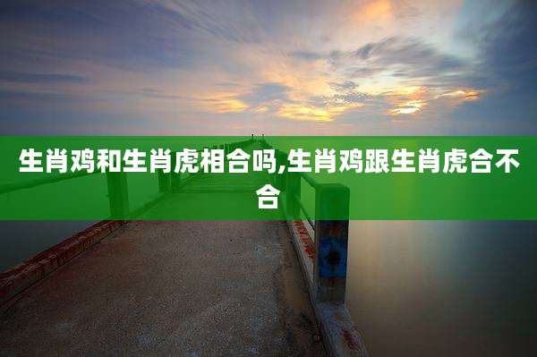 生肖鸡和生肖虎相合吗,生肖鸡跟生肖虎合不合