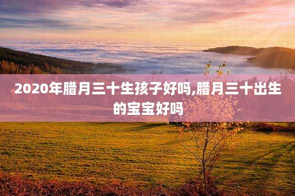 2020年腊月三十生孩子好吗,腊月三十出生的宝宝好吗
