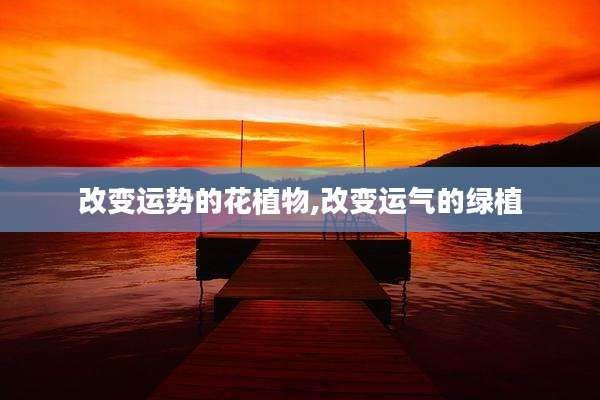 改变运势的花植物,改变运气的绿植