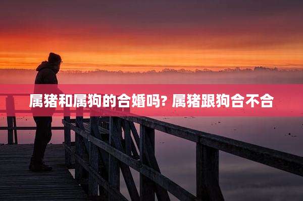 属猪和属狗的合婚吗? 属猪跟狗合不合