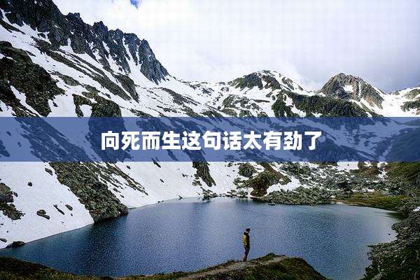 向死而生这句话太有劲了