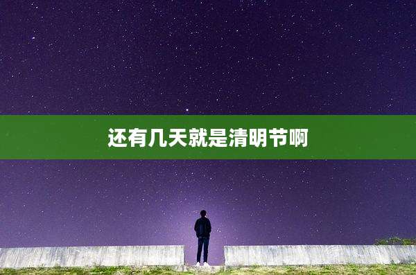 还有几天就是清明节啊