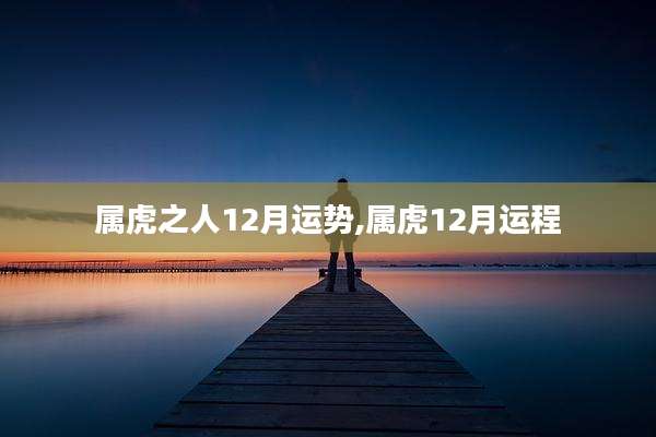属虎之人12月运势,属虎12月运程