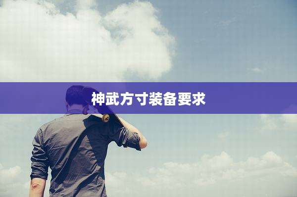 神武方寸装备要求
