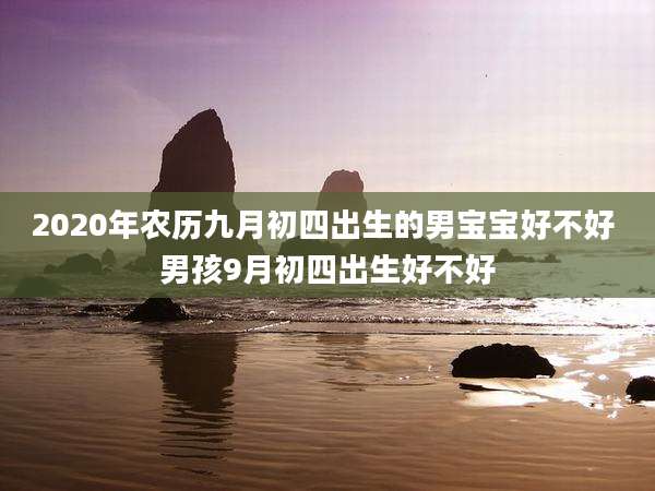 2020年农历九月初四出生的男宝宝好不好 男孩9月初四出生好不好
