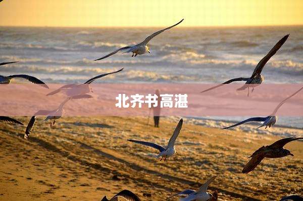 北齐书高湛
