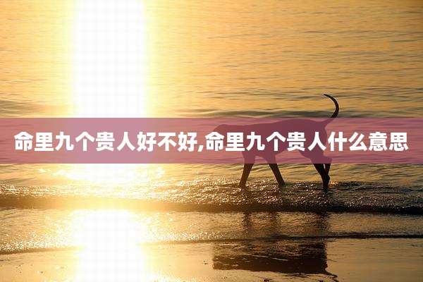 命里九个贵人好不好,命里九个贵人什么意思