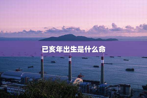 已亥年出生是什么命
