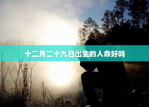 十二月二十九日出生的人命好吗