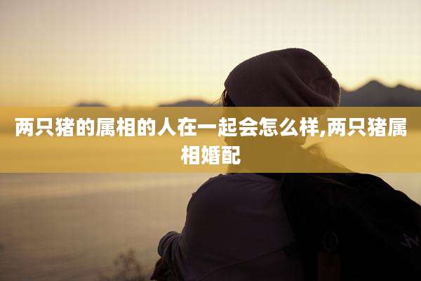 两只猪的属相的人在一起会怎么样,两只猪属相婚配