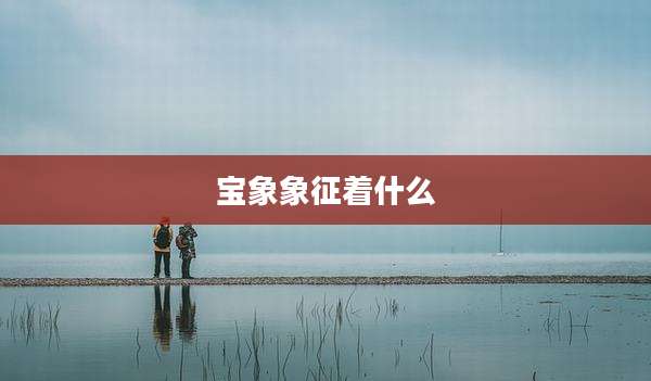 宝象象征着什么