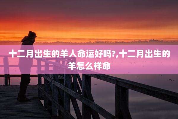 十二月出生的羊人命运好吗?,十二月出生的羊怎么样命