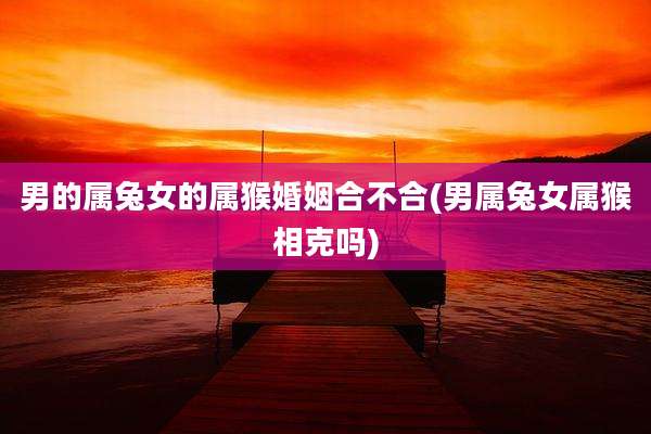 男的属兔女的属猴婚姻合不合(男属兔女属猴相克吗)