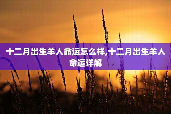 十二月出生羊人命运怎么样,十二月出生羊人命运详解