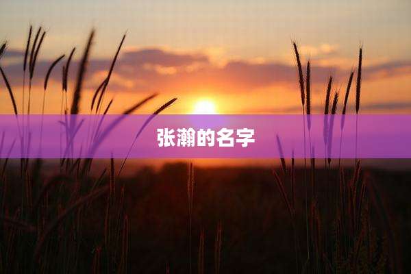 张瀚的名字