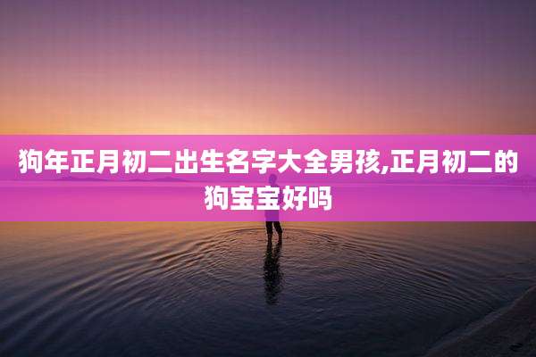 狗年正月初二出生名字大全男孩,正月初二的狗宝宝好吗