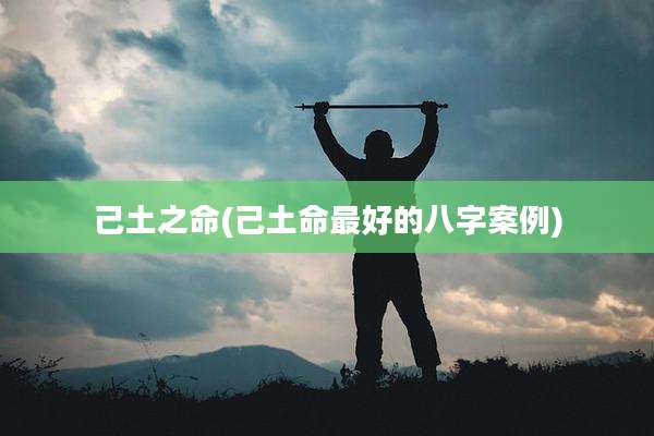 己土之命(己土命最好的八字案例)
