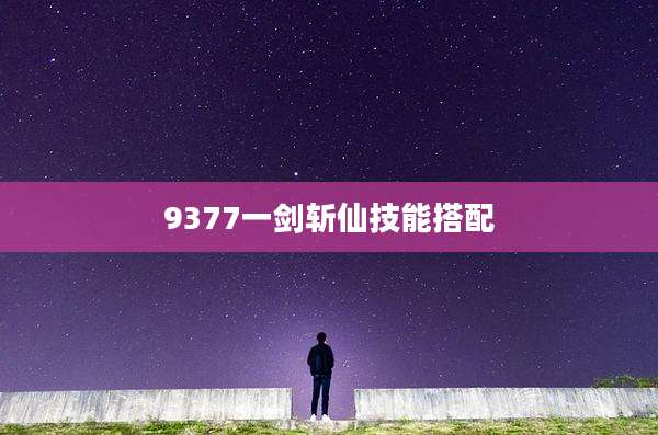 9377一剑斩仙技能搭配