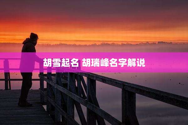 胡雪起名 胡瑞峰名字解说