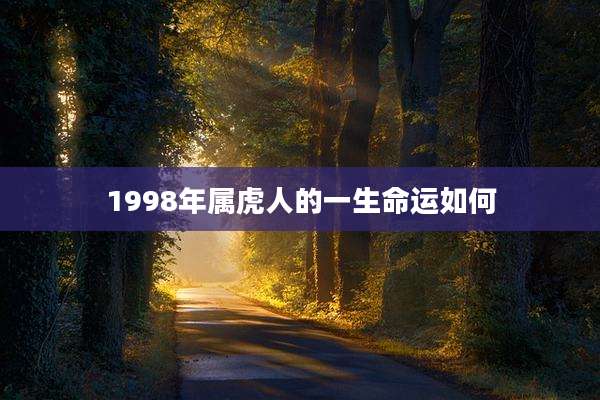 1998年属虎人的一生命运如何