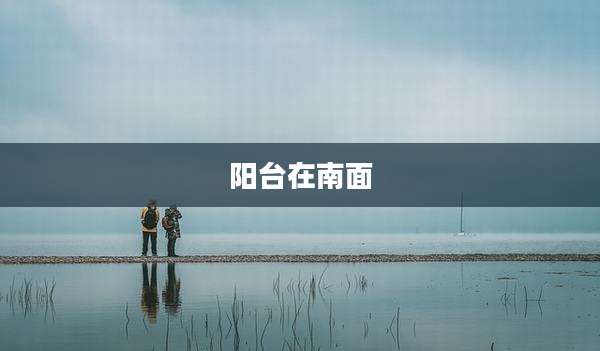 阳台在南面