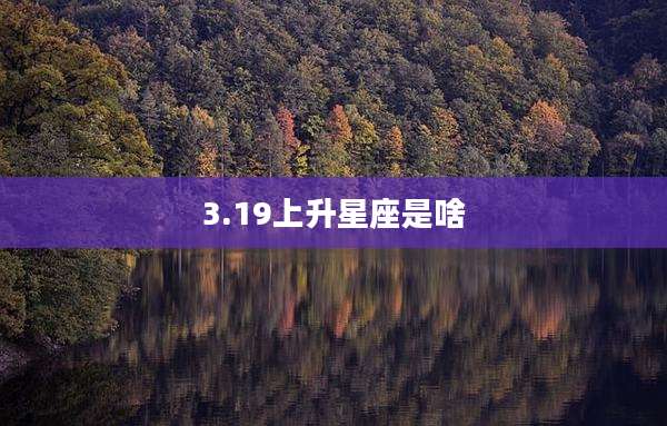 3.19上升星座是啥