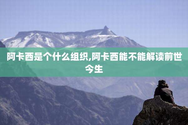 阿卡西是个什么组织,阿卡西能不能解读前世今生