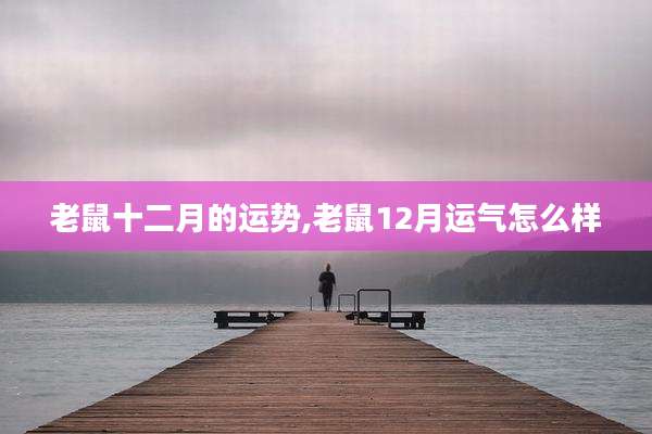 老鼠十二月的运势,老鼠12月运气怎么样