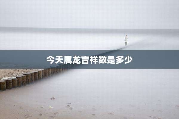 今天属龙吉祥数是多少