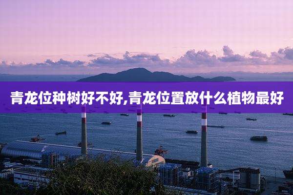 青龙位种树好不好,青龙位置放什么植物最好