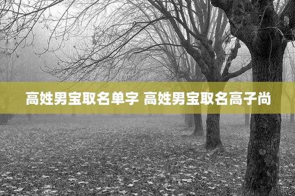高姓男宝取名单字 高姓男宝取名高子尚