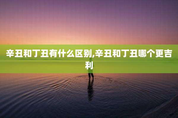 辛丑和丁丑有什么区别,辛丑和丁丑哪个更吉利
