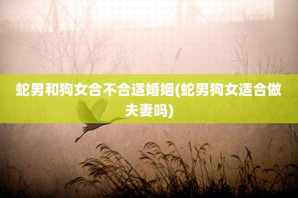 蛇男和狗女合不合适婚姻(蛇男狗女适合做夫妻吗)