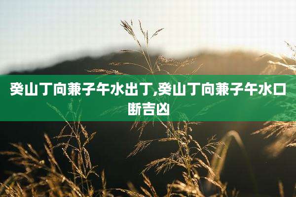 癸山丁向兼子午水出丁,癸山丁向兼子午水口断吉凶