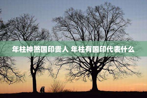 年柱神煞国印贵人 年柱有国印代表什么