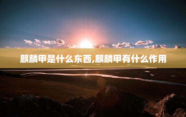 麒麟甲是什么东西,麒麟甲有什么作用