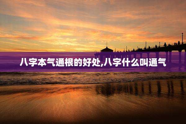 八字本气通根的好处,八字什么叫通气