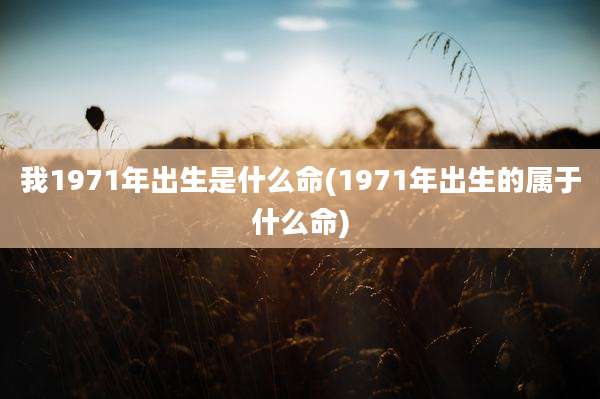 我1971年出生是什么命(1971年出生的属于什么命)