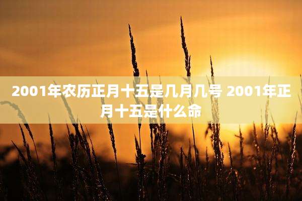2001年农历正月十五是几月几号 2001年正月十五是什么命
