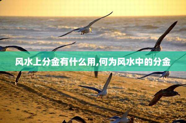 风水上分金有什么用,何为风水中的分金