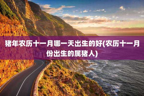 猪年农历十一月哪一天出生的好(农历十一月份出生的属猪人)